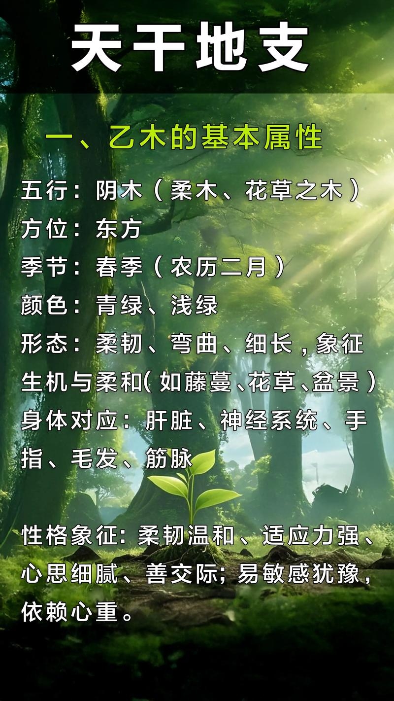 乙木寅月逢甲生强旺，需温润乙木助其茁壮。春季适宜以水土调和得天独厚，八字解析助力富贵相宜 。插图