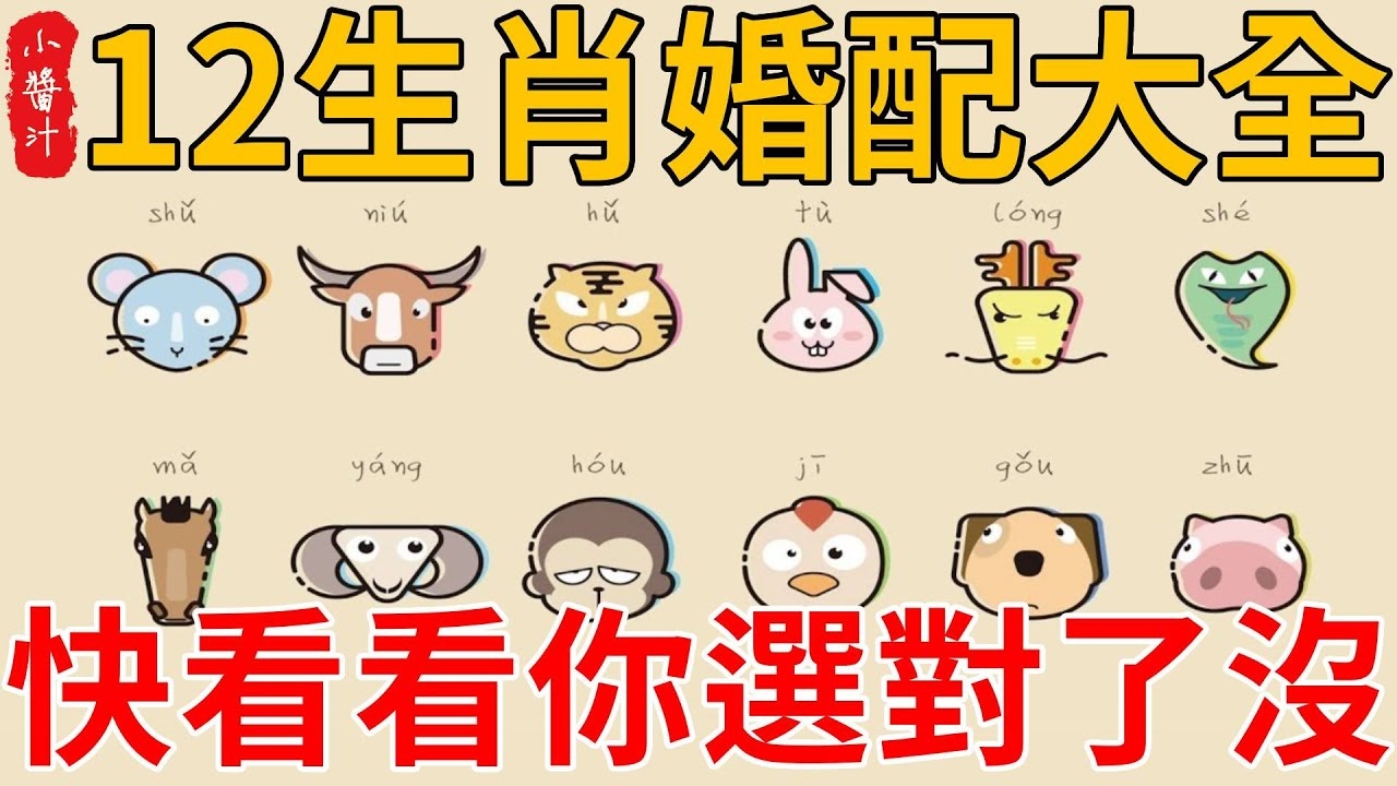 属马男最佳婚配,生肖、性格与月份全解析插图 属马男最佳婚配,生肖、性格与月份全解析插图