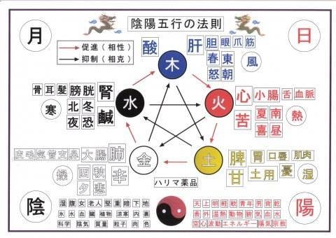 姓名与阴阳五行，起名新视角插图