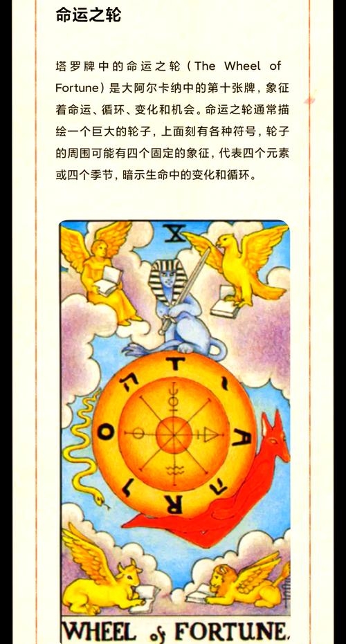 孔明占卜，智慧与命运的交响曲插图