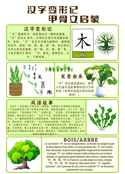 属木字引你发现宇宙的奇妙密码插图