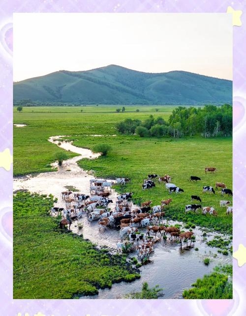 奶牛的梦，一场跨越草原的奇幻之旅插图