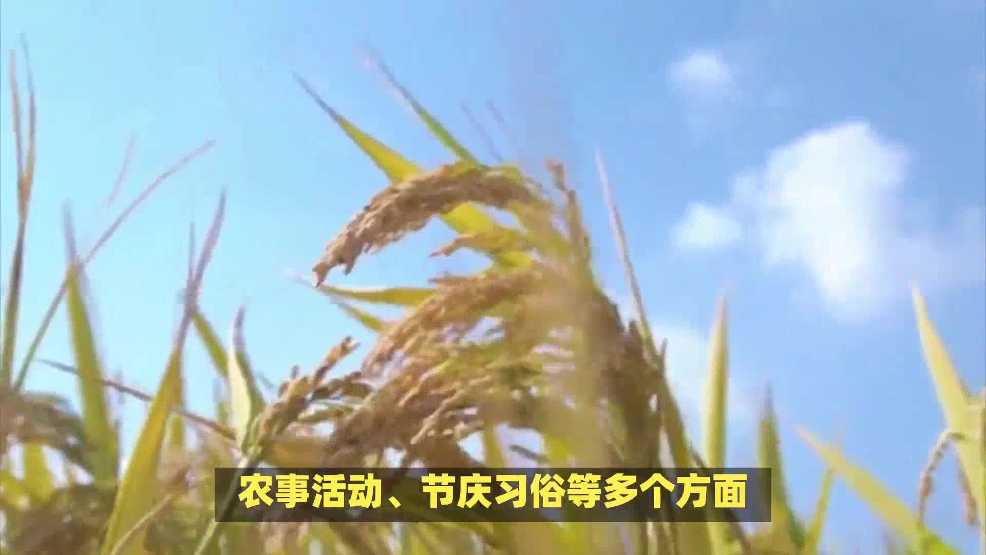 猴年马月中的马月需农历五月。插图