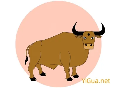 属牛人的最佳配偶，寻找命定之缘的星座与性格解析插图