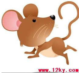 鼠年是哪几年？插图
