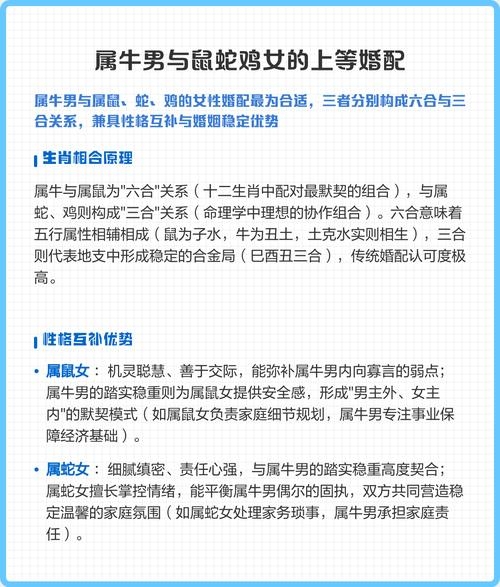 属牛男最佳婚配，与鼠、蛇、鸡生肖最和谐插图