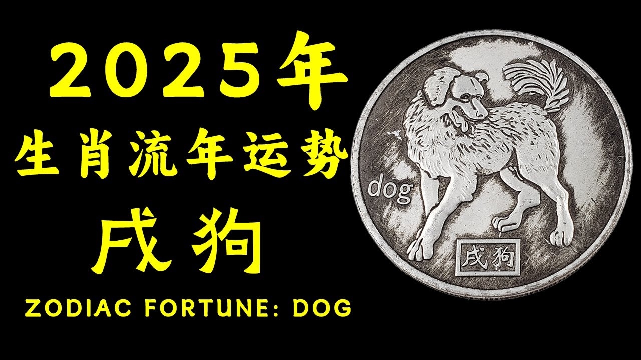 狗年运势，忠诚与机遇并进的幸运之年插图