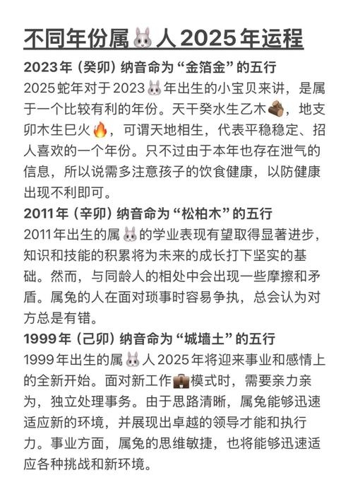 兔年运势大揭秘，财富、健康与生肖运势全解析插图
