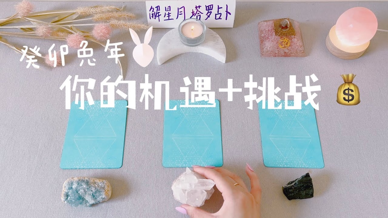 兔年与癸卯年，探寻生肖与干支的奇妙对应插图