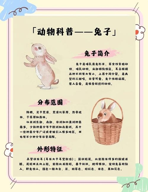 兔年之下,下一个生肖的神秘旅程插图 兔年之下,下一个生肖的神秘旅程插图