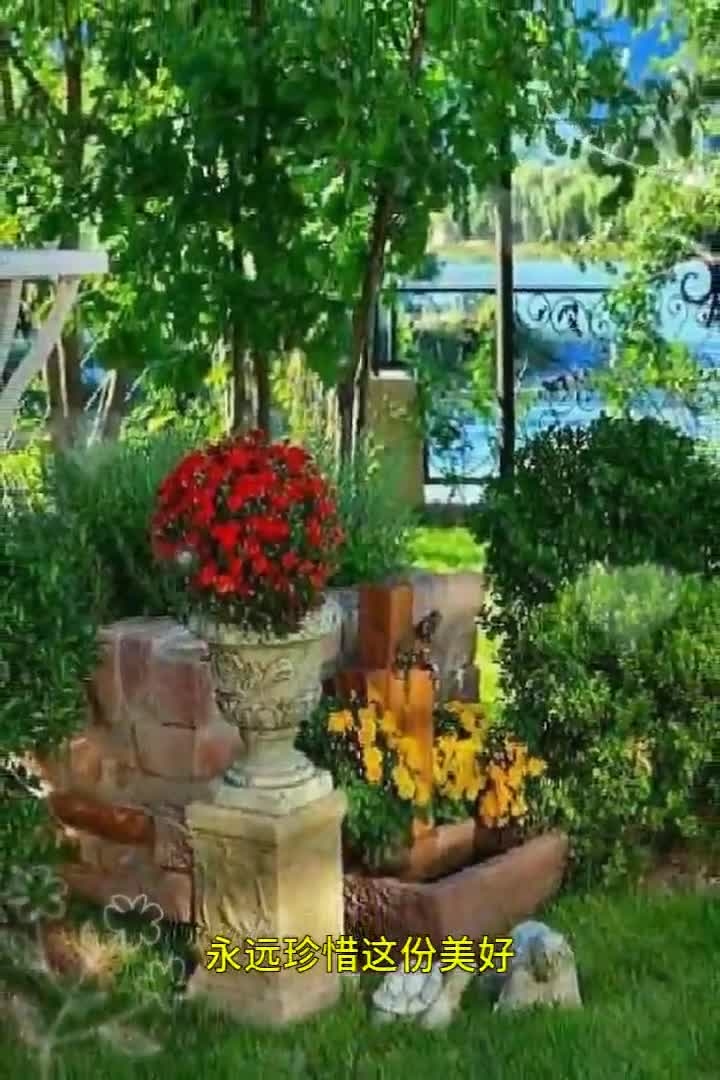 茌平交友，在历史与现代交织的土壤中绽放的友谊之花插图