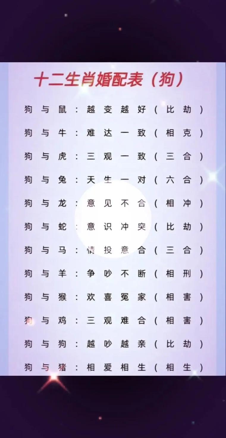 狗配属相，传统智慧与现代生活的双轨选择插图