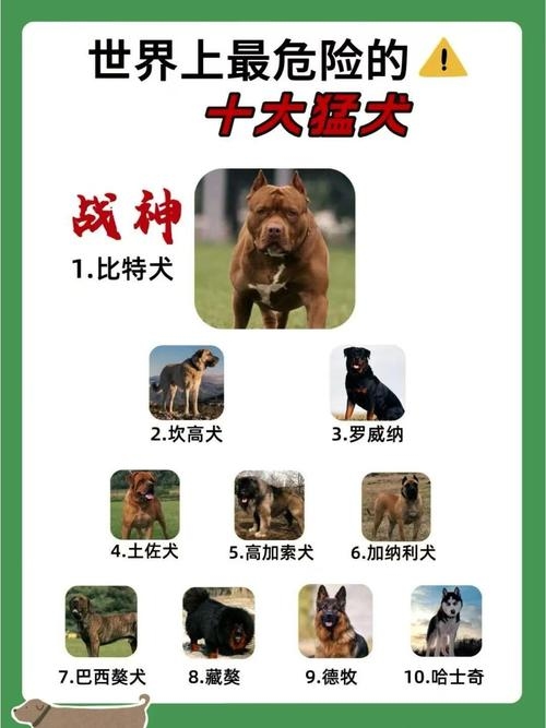 霸气公犬名字，展现力量与威严插图