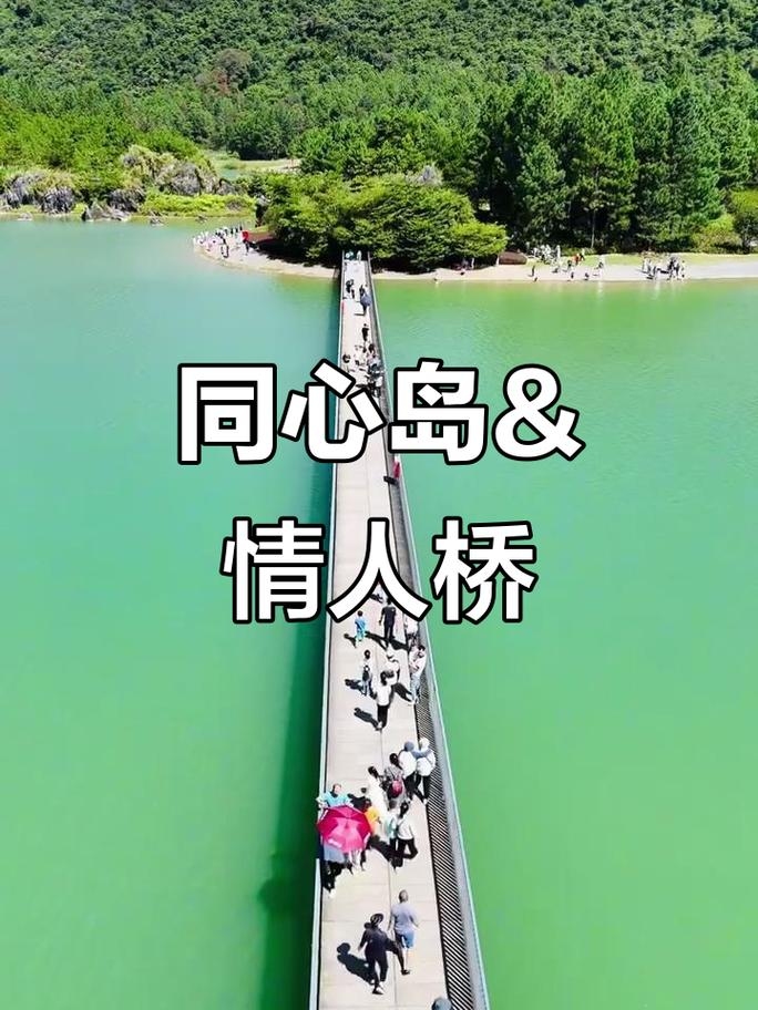 相亲论坛，连接心与缘的桥梁插图