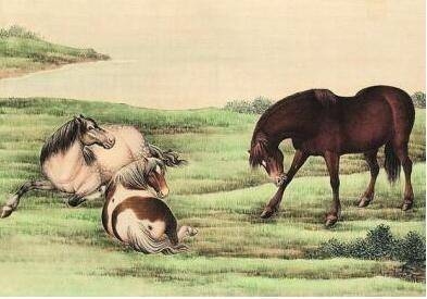 鞍前马后，生肖谜底揭晓，忠诚之马！插图