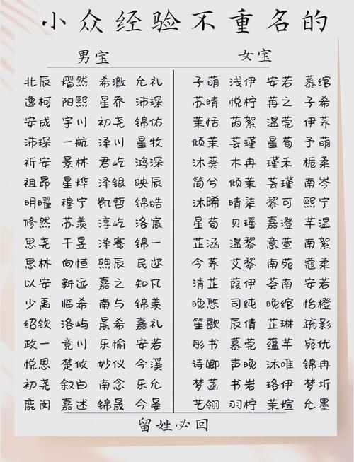秀气名字的独特魅力，以风骨为笔，铸就文化之魂插图