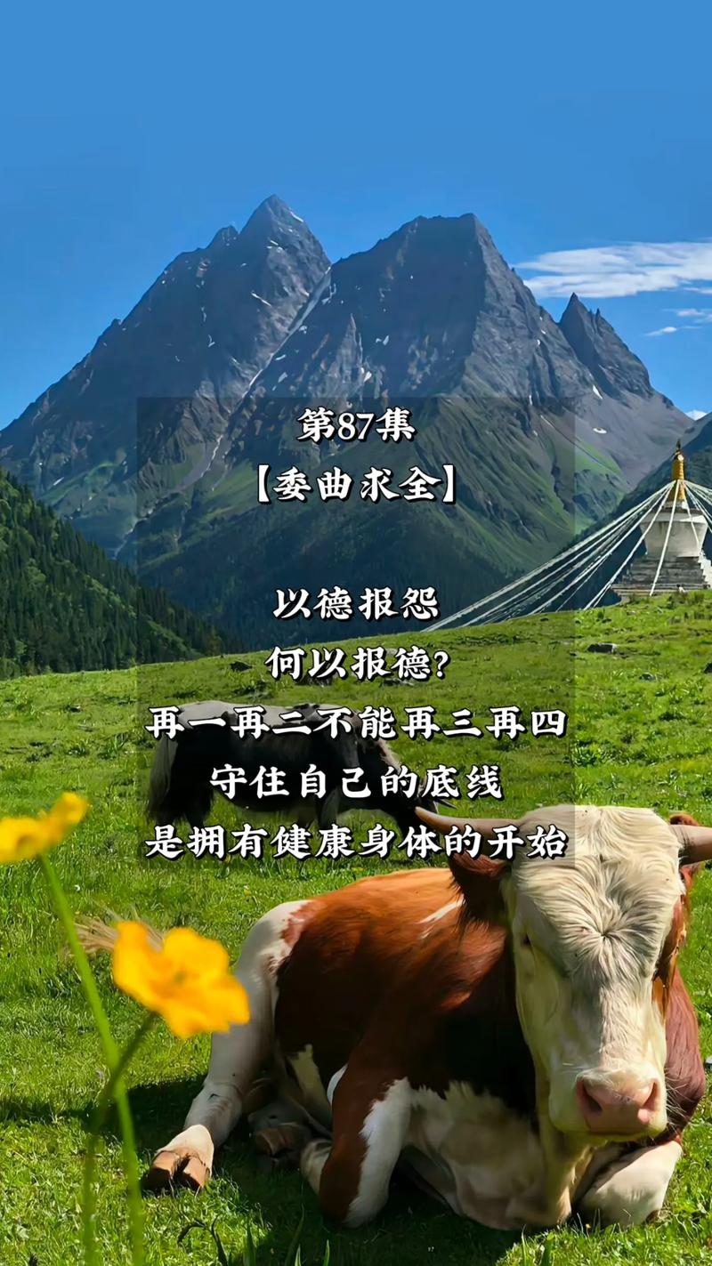 委曲求全含义探讨插图