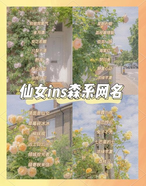 仙气十足的网名,穿越虚拟世界的梦幻之旅插图 仙气十足的网名,穿越虚拟世界的梦幻之旅插图