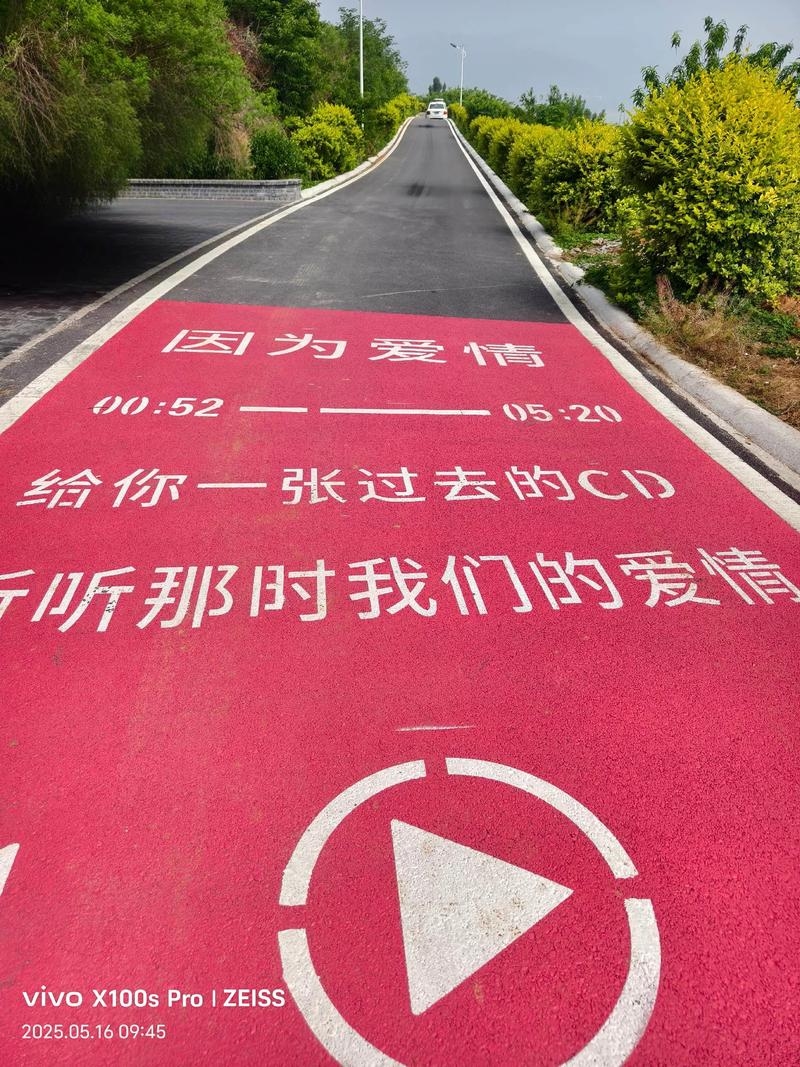 相亲网站，现代爱情的新航道插图