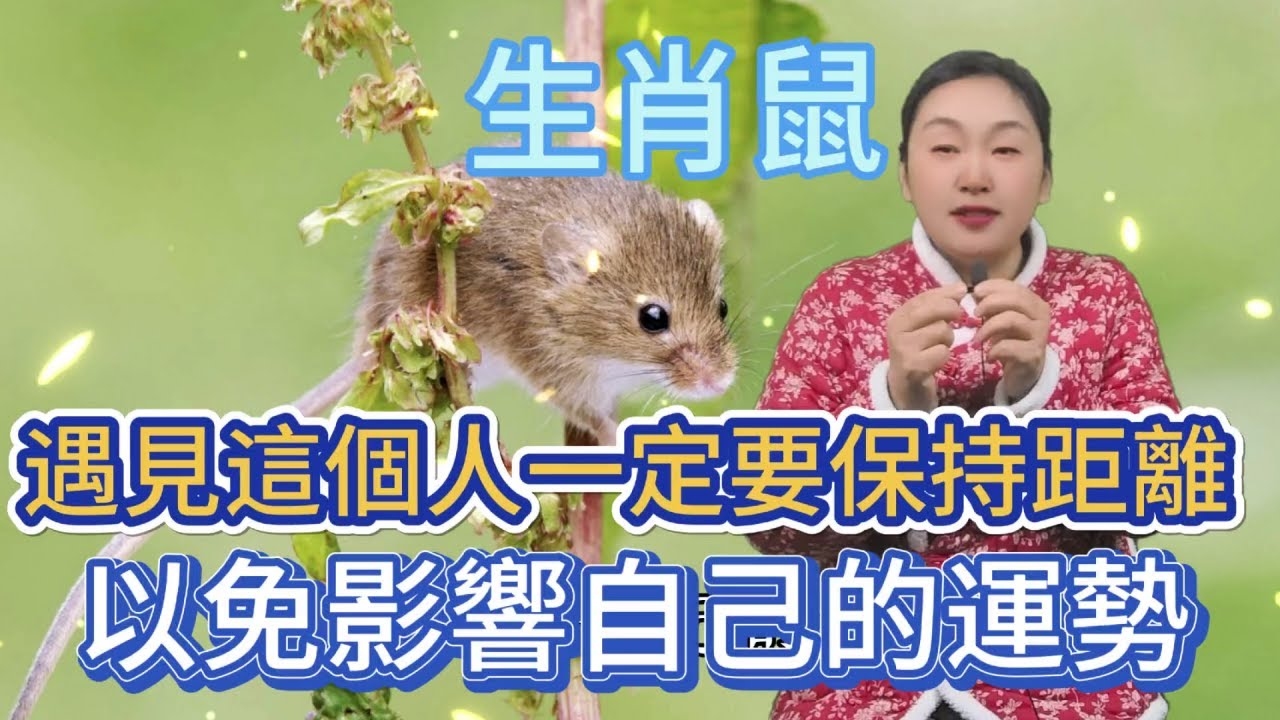 隔墙有耳，生肖鼠的警觉之喻插图