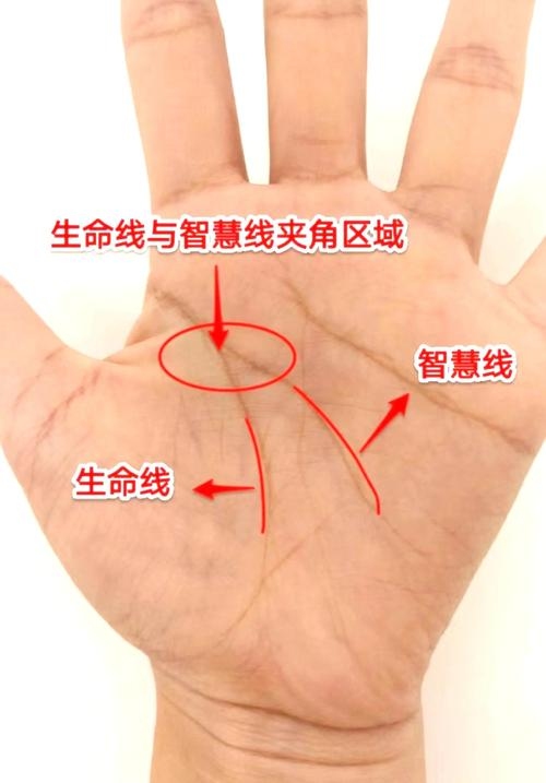 男人看手相,解读生命密码,探寻自我光芒插图 男人看手相,解读生命密码,探寻自我光芒插图