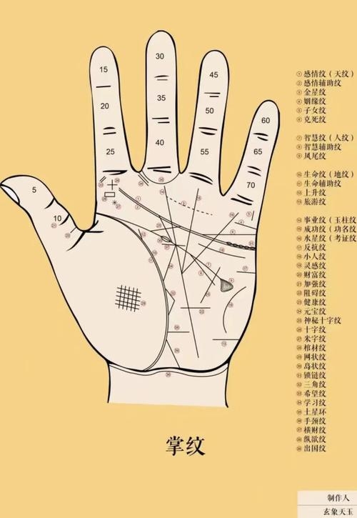 男人看手相图解，需兼顾财运与婚姻插图