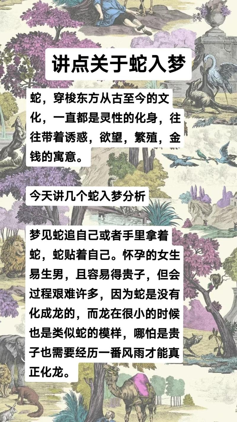 男人梦到蛇，解梦之旅的神秘启程插图