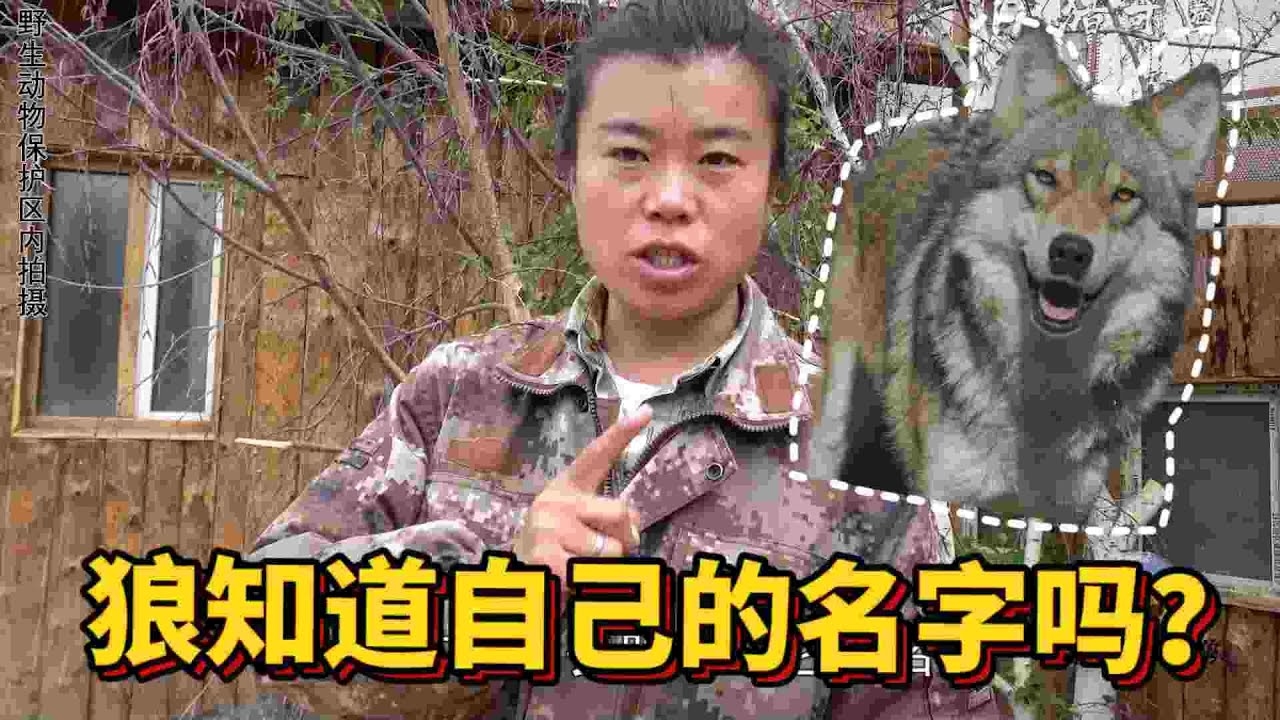 狼人名字，探索神秘与奇幻的命名艺术插图