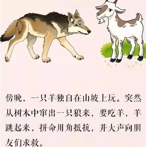 羊入壶口,一场意外的冒险与智慧较量插图 羊入壶口,一场意外的冒险与智慧较量插图