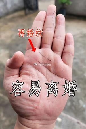 嫁入豪门的手相特征插图