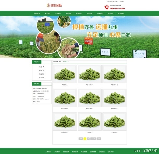 绿色代码，编程界的环保革命插图