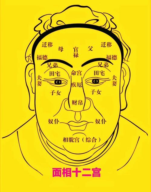 相术大全,探索面相学中的智慧与奥秘插图 相术大全,探索面相学中的智慧与奥秘插图