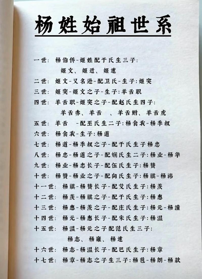 杨氏家谱,探寻千年杨姓家族的辉煌与传承插图 杨氏家谱,探寻千年杨姓家族的辉煌与传承插图