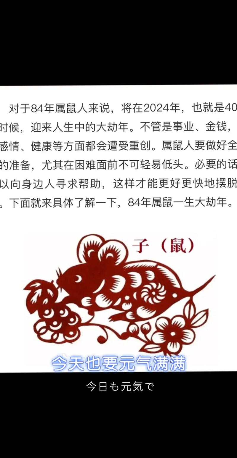 炙手可热的生肖，属鼠人的独特魅力与成功秘诀插图