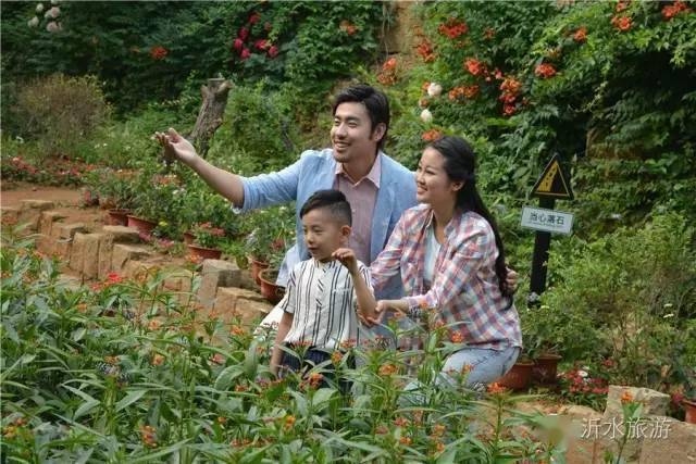 沂水征婚，寻找心灵归宿的温暖选择插图