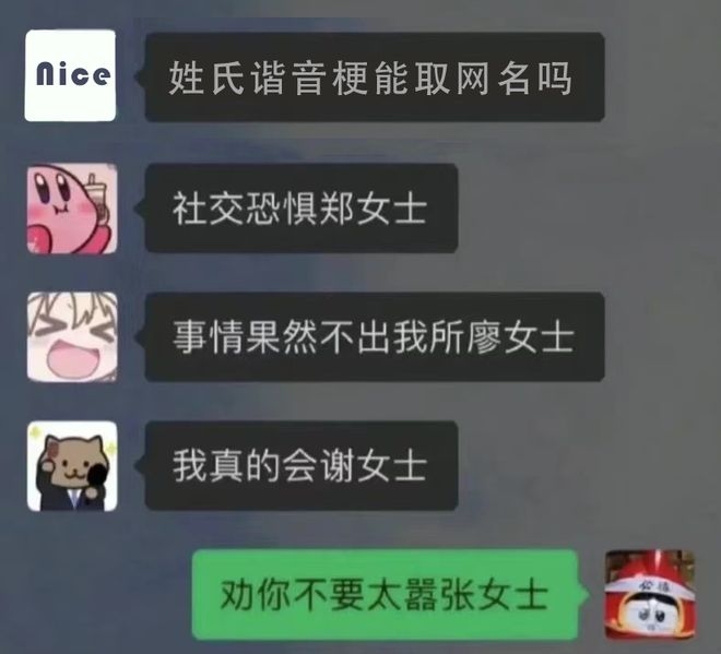 姓氏谐音梗网名，玩转姓氏，打造独特个性标签插图