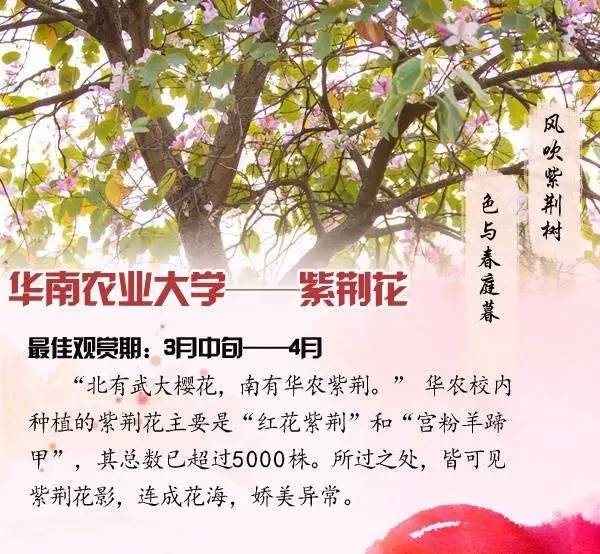 闰四月初八，时光邂逅时光诗韵插图