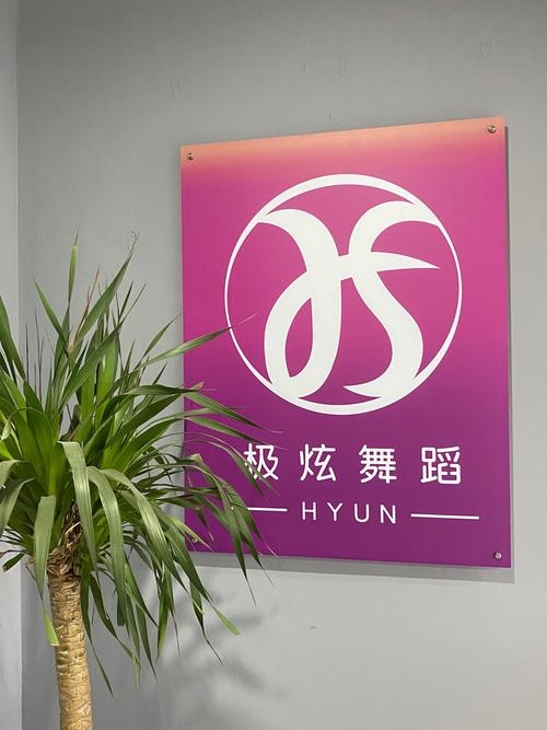 舞团名称，星辰舞韵——探索舞蹈艺术的无限可能插图