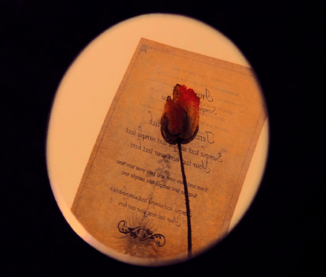 繁体字伤感网名,一抹墨香,一缕情殇插图 繁体字伤感网名,一抹墨香,一缕情殇插图