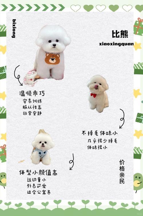 宠物名推荐，萌趣圆圆、毛球米菲等，可满足狗狗个性插图