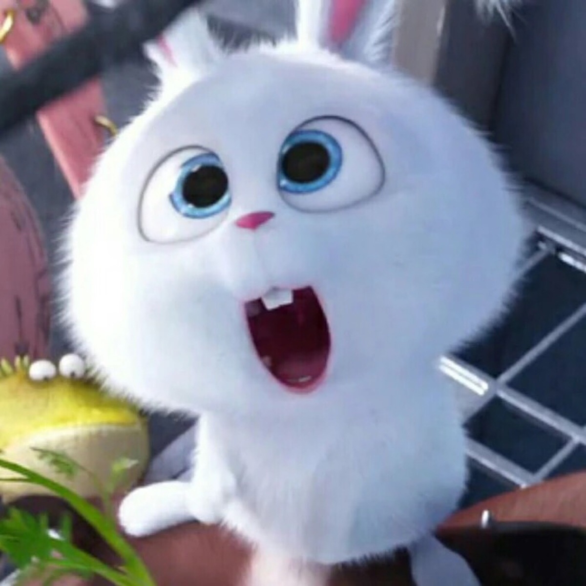 宠物名字精选，安琪、雪球，寓意温暖守护与清冷高贵插图