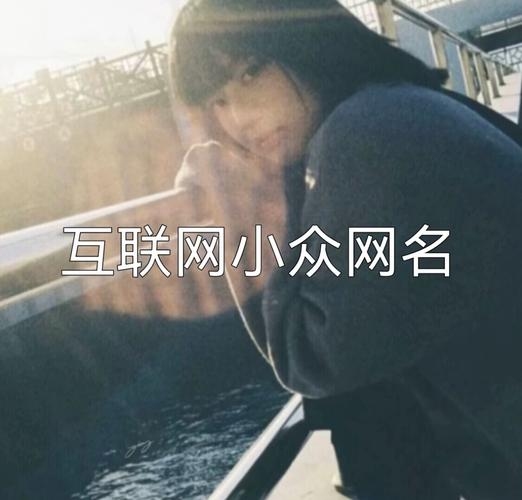 探寻百度昵称的奥秘，解锁互联网人专属魅力插图