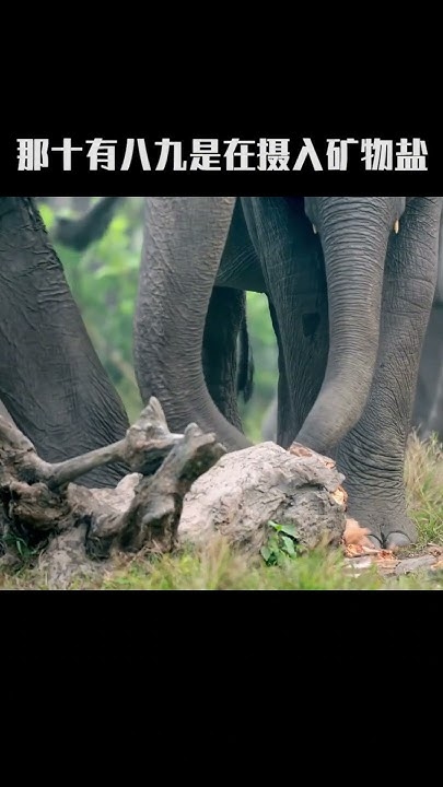 油盐不进，说的是哪种动物？插图