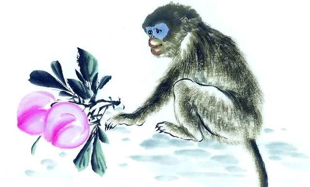 猴，不三不四的生肖代表插图