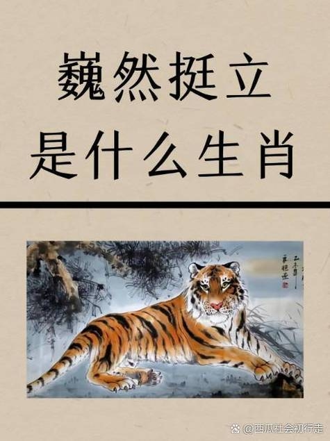 野心不死，生肖之韵插图