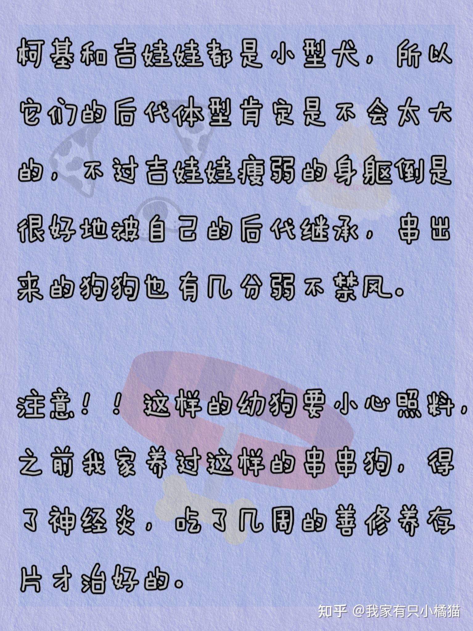 苟延残喘猜生肖为狗。插图