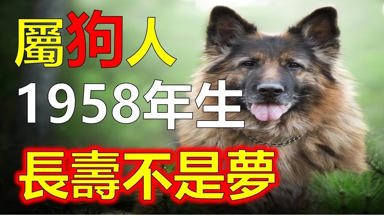 属狗的人何时满十八岁插图