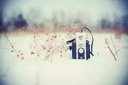 盘锦单身，在冷暖交织的聚散中寻觅真挚情感插图