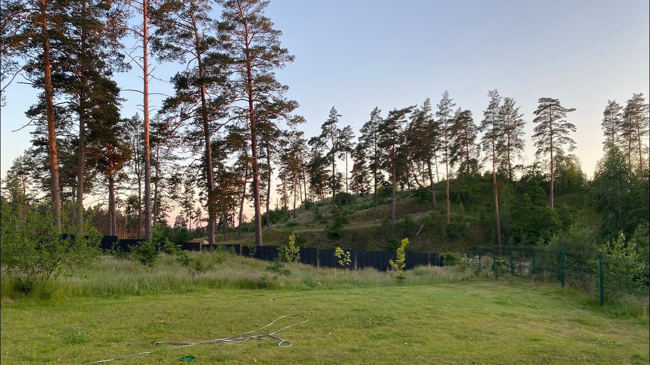 鹤乡的午后闲聊插图