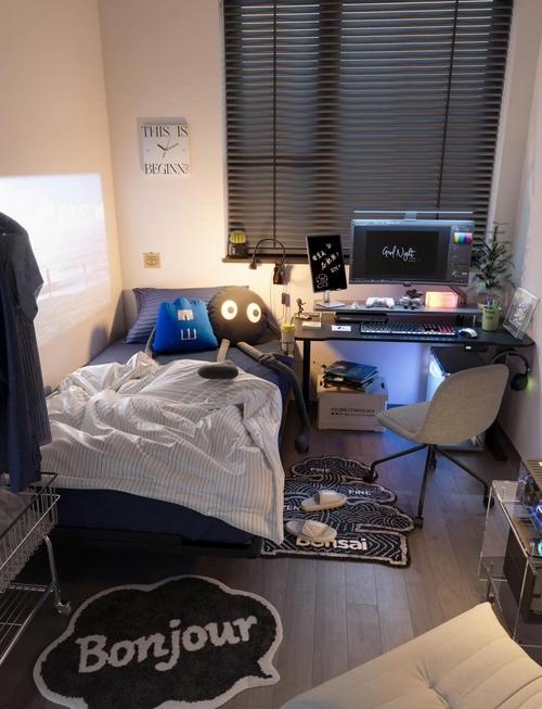 男孩的卧室，梦想与现实的交汇处插图